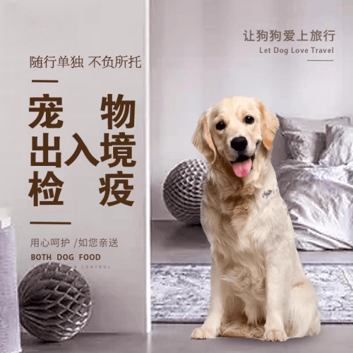 信阳市宠物托运到哥伦比亚猫狗宠物入境规定和