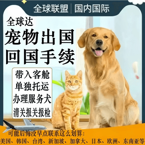 信阳市宠物托运到柬埔寨宠物入境规定和要求