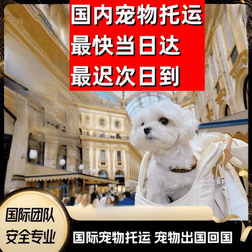信阳市到澳大利亚（澳洲）宠物入境规定和要求